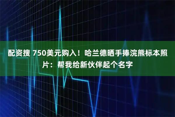 配资搜 750美元购入！哈兰德晒手捧浣熊标本照片：帮我给新伙伴起个名字